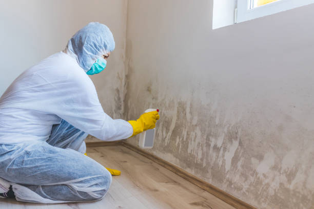 Licensed Commercial Mold Remediation service in Abingdon, MD - WQB Mold Removal