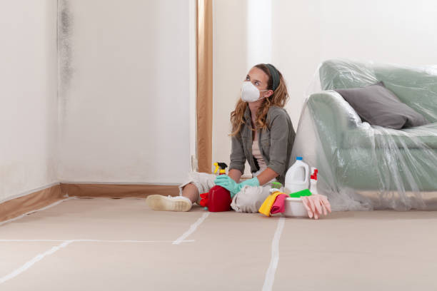 Reliable Commercial Mold Remediation contractor in Abingdon, MD by WQB Mold Removal