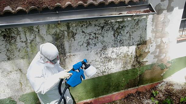 Top rated local Commercial Mold Remediation specialists in Abingdon, MD